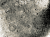 Марсианские метеоритные кратеры (снимки ''Маринера 6'' ?).